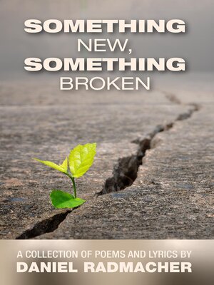 cover image of Something New, Something Broken